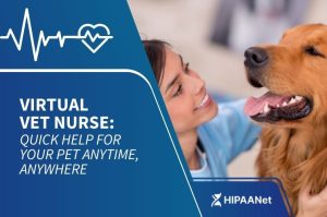 Virtual Vet Nurse: Quick Help for Your Pet Anytime, Anywhere